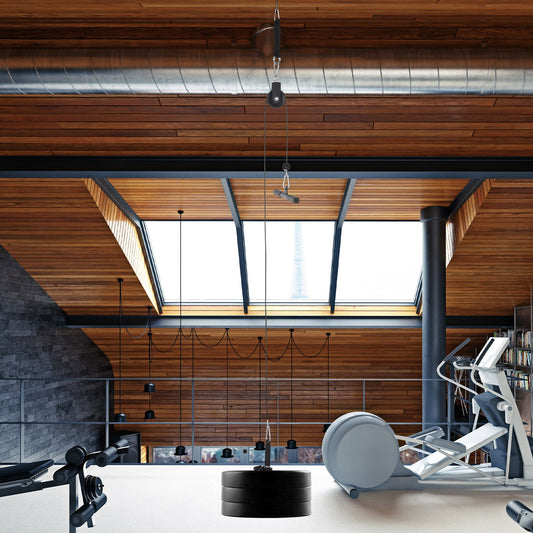 Multifunction Gym Pulley System-1